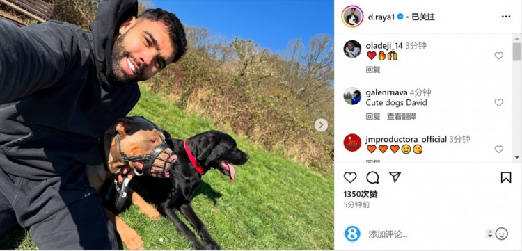 狗狗控拉亚：怀抱两大型犬的幸福瞬间